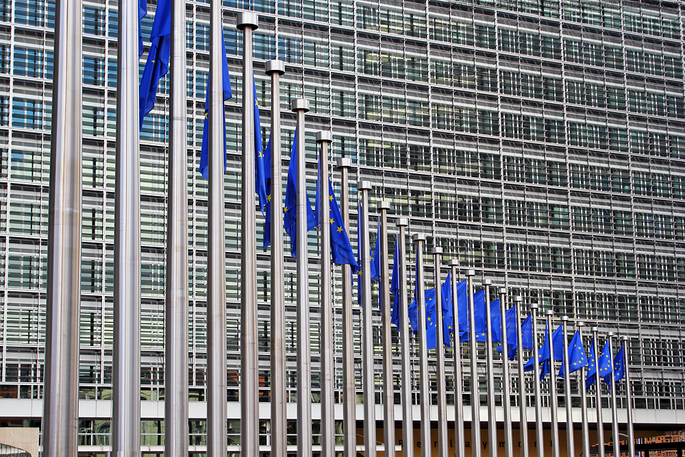 FB_Flaggen_EU_komm_IMG_8257.jpg